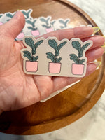 Fiddle leaf fig sticker • minis