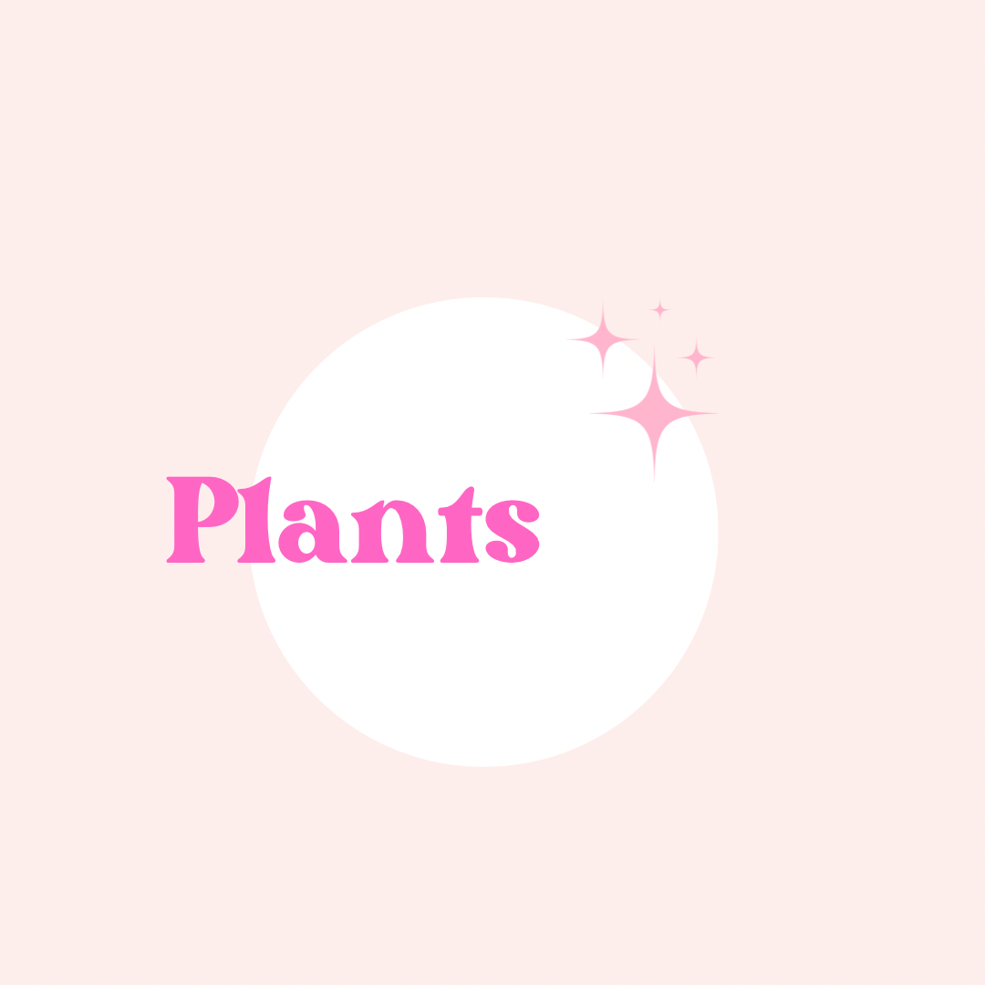 Plants
