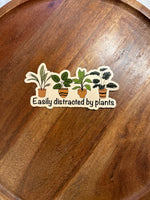 Easily distracted by plants magnet