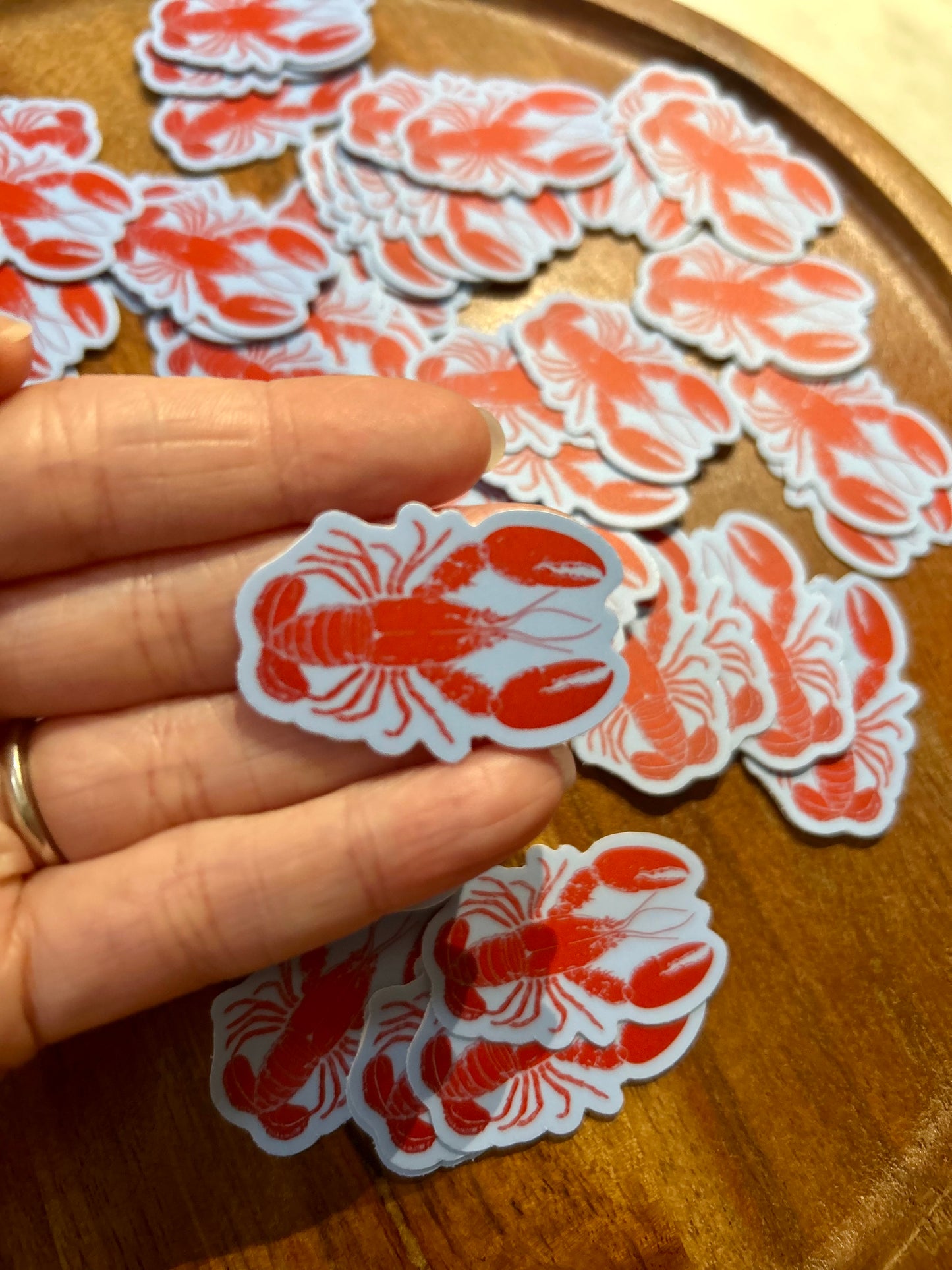 Little Lobster sticker