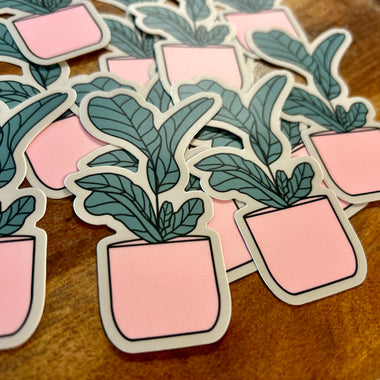 Fiddle leaf fig sticker