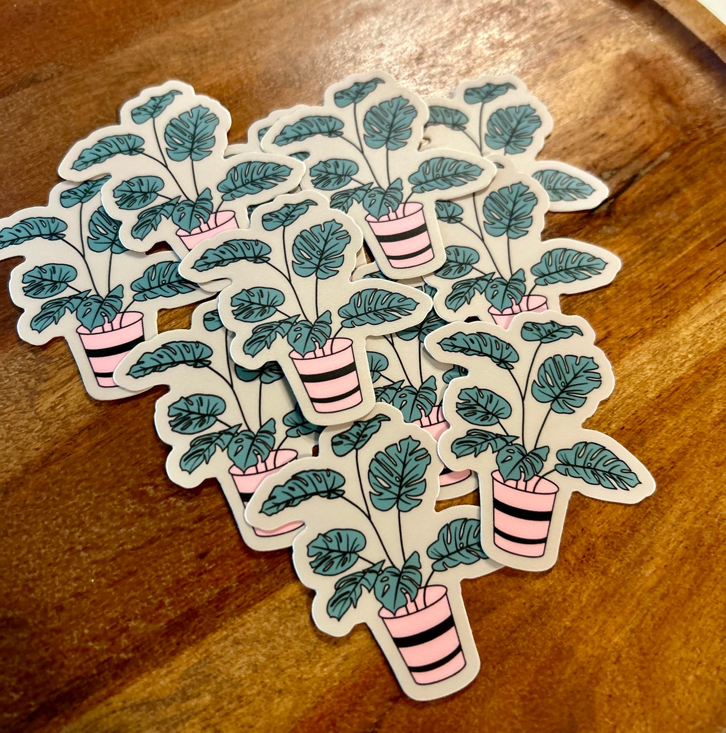 Monstera sticker