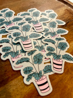 Monstera sticker