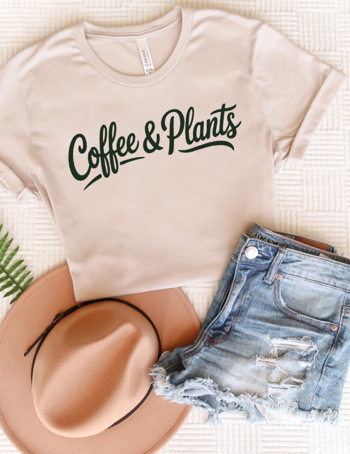 Coffee & plants